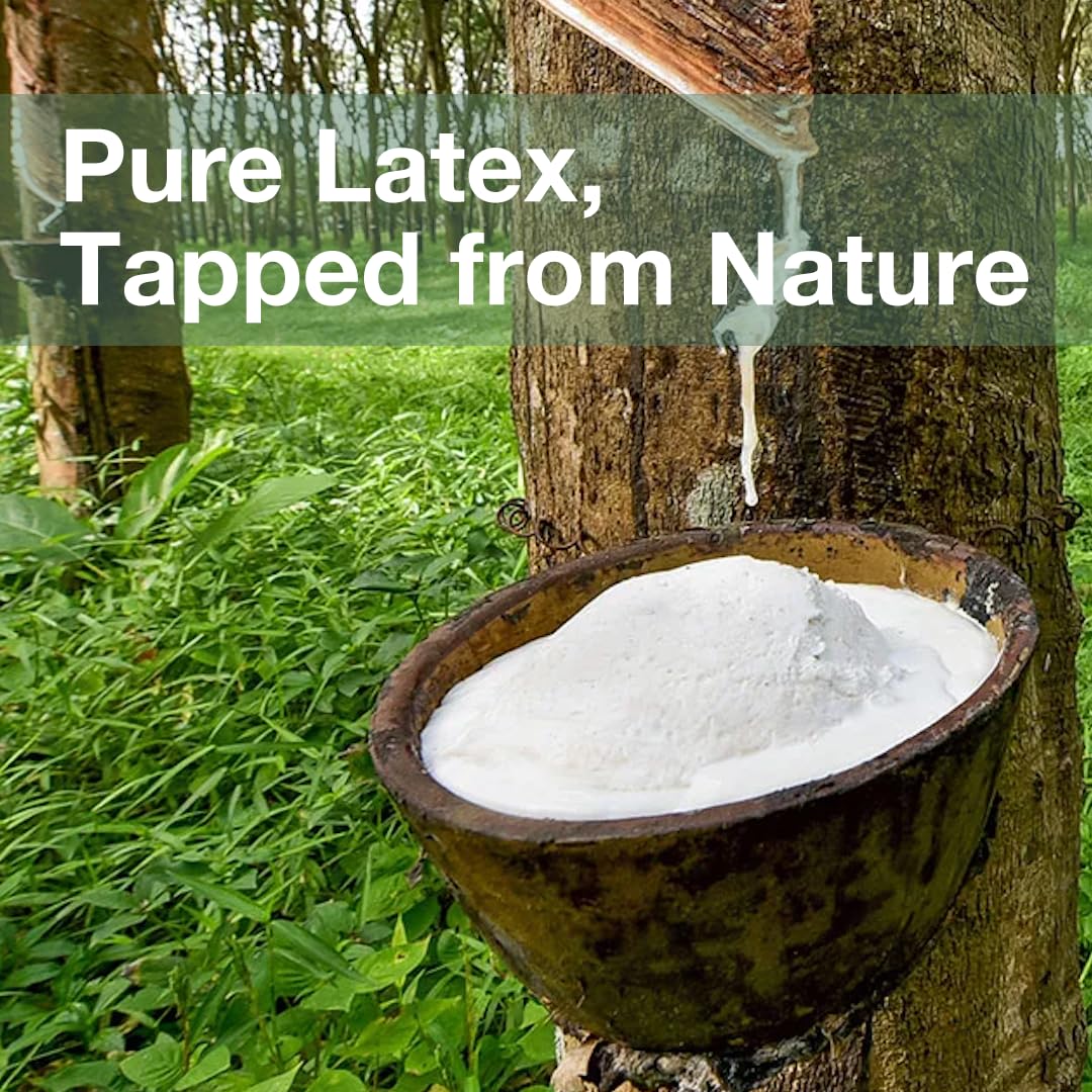 100% Natural Latex Pillow with Removable Cotton Cover (Standard, Firm), Strong Support Travel Pillow, Premium Bed Pillow for Sleeping, Neck Pain Relief Help, Head Support for Side Back Stomach Sleeper